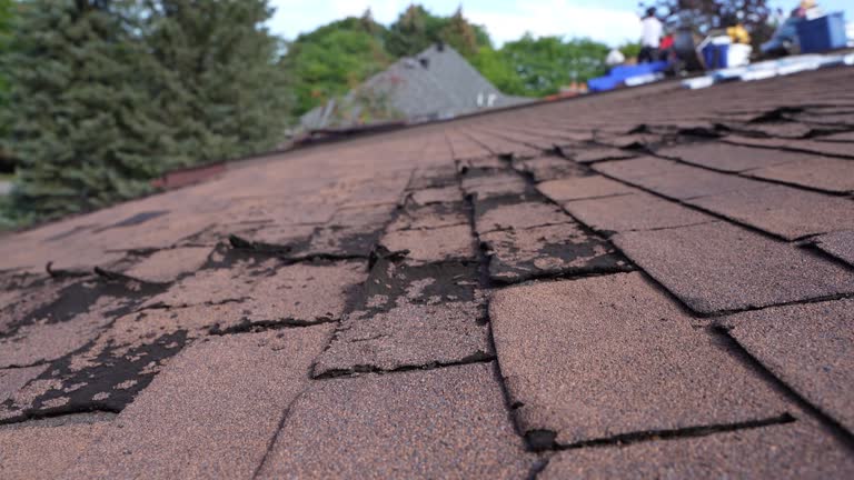 Emergency Roof Repair in Rockledge, PA